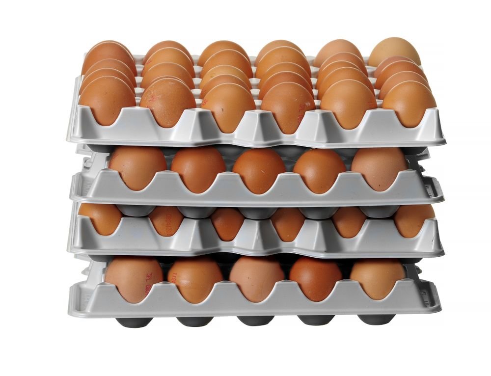 Set aus 4 Eierbehältereinsätzen für HENDI OVOBOX 120 , HENDI, 291x288x(H)41mm